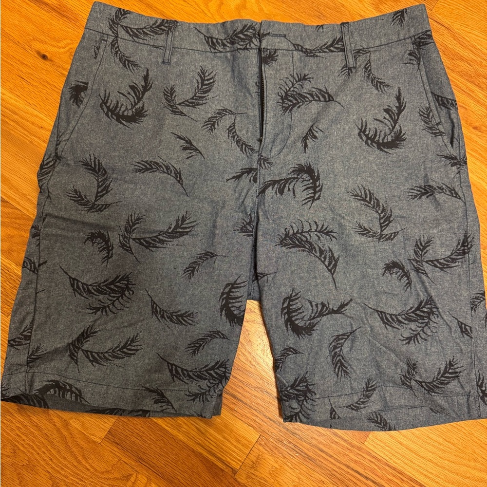 🏈 men’s shorts paige